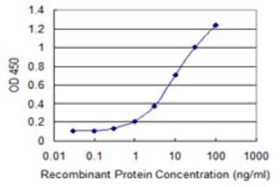 Sandwich ELISA: Carbonic Anhydrase VB/CA5B Antibody (1E12) [H00011238-M06] - Detection limit for recombinant GST tagged CA5B is 0.1 ng/ml as a capture antibody.