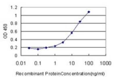 Sandwich ELISA: Carbonic Anhydrase XII/CA12 Antibody (1D4) [H00000771-M01] - Detection limit for recombinant GST tagged CA12 is approximately 1ng/ml as a capture antibody.