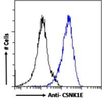 Flow Cytometry: Casein Kinase 1 epsilon Antibody [NB100-93388] - Flow cytometric analysis of paraformaldehyde fixed A431 cells (blue line), permeabilized with 0.5% Triton. Primary incubation 1hr (10 ug/mL) followed by Alexa Fluor 488 secondary antibody (1 ug/mL). IgG control: Unimmunized goat IgG (black line) followed by Alexa Fluor 488 secondary antibody.