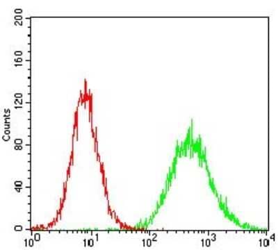 Flow Cytometry: Casein Kinase 2 beta Antibody (1H8A5) [NBP2-52450] - Flow cytometric analysis of Hela cells using CSNK2B mouse mAb (green) and negative control (red).