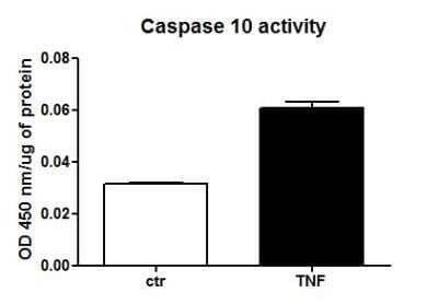 Caspase-10/FLICE2 Activity Assay Kit (Colorimetric) [NBP2-54829] - The assay was performed on murine insulinoma cell line following Novus' protocol.