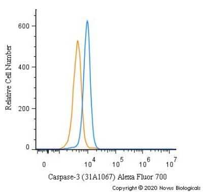 An intracellular stain was performed on NIH3T3 cells with Caspase-3 Antibody (31A1067) [Alexa Fluor(R) 700] - (Pro and Active) and a matched isotype control (orange). Cells were fixed with 4% PFA and then permeabilized with 0.1% saponin. Cells were incubated in an antibody dilution of 10 ug/mL for 30 minutes at room temperature. Both antibodies were conjugated to Alexa Fluor 700.