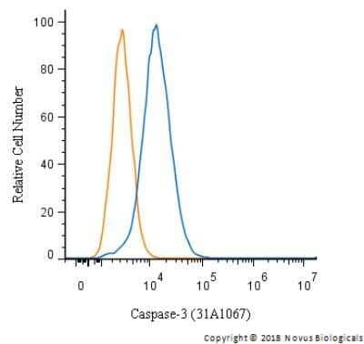 An intracellular stain was performed on HeLa cells with Caspase-3 Antibody (31A1067) - (Pro and Active) NB100-56708 (blue) and a matched isotype control (orange). Cells were fixed with 4% PFA and then permeablized with 0.1% saponin. Cells were incubated in an antibody dilution of 5 ug/mL for 30 minutes at room temperature, followed by mouse F(ab)2 IgG (H+L) APC-conjugated secondary antibody (F0101B, R&D Systems). Image using the standard format of this product.