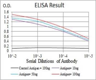 ELISA: Caspase-3 Antibody (3D4D10) [NBP2-52428] - Black line: Control Antigen(100 ng);Purple line: Antigen(10ng);Blue line: Antigen (50 ng);Red line: Antigen (100 ng);