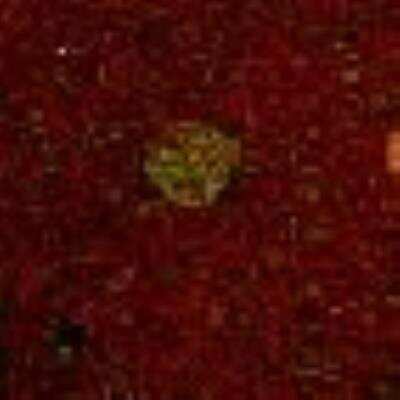 Microarray: Caspase-8 Antibody [28020002] - Caspase-8 antibody was printed on custom arrays and incubated with fluorescently labeled human EDTA plasma. Microarray image submitted by a verified customer review.