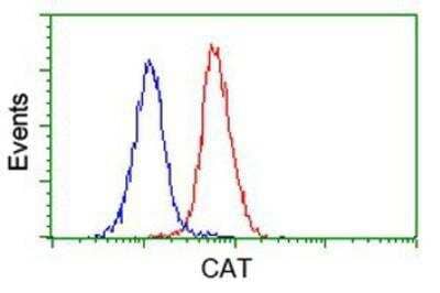 Flow Cytometry: Catalase Antibody (1B8) [NBP2-00492] - Analysis of Jurkat cells, using anti-Catalase antibody, (Red), compared to a nonspecific negative control antibody (Blue).