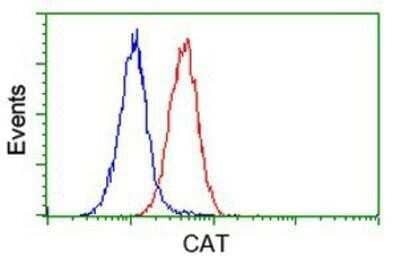 Flow Cytometry: Catalase Antibody (OTI1B8) - Azide and BSA Free [NBP2-70342] - Analysis of Hela cells, using anti-Catalase antibody, (Red), compared to a nonspecific negative control antibody (Blue).