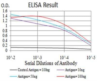 ELISA: Catenin alpha 1 Antibody (8B6C1) [NBP2-61722] - Black line: Control Antigen (100 ng);Purple line: Antigen (10ng); Blue line: Antigen (50 ng); Red line:Antigen (100 ng).