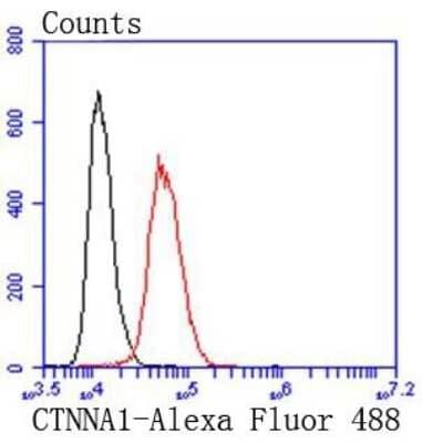 Flow Cytometry: Catenin alpha 1 Antibody (SC0619) [NBP2-67588] - Analysis of Hela cells with alpha 1 Catenin antibody at 1/50 dilution (red) compared with an unlabelled control (cells without incubation with primary antibody; black). Alexa Fluor 488-conjugated goat anti rabbit IgG was used as the secondary antibody.