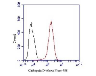 Flow Cytometry: Cathepsin D Antibody (13F2) [NBP2-89156] - Flow cytometric analysis of Cathepsin D was done on SKOV-3 cells. The cells were fixed, permeabilized and stained with the primary antibody (EM1901-15, 1/50) (red). After incubation of the primary antibody at room temperature for an hour, the cells were stained with a Alexa Fluor 488-conjugated Goat anti-Mouse IgG Secondary antibody at 1/1000 dilution for 30 minutes. Unlabeled sample was used as a control (cells without incubation with primary antibody; black).