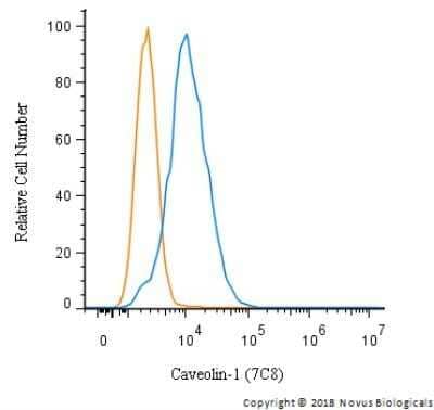 Flow Cytometry: Caveolin-1 Antibody (7C8) - Azide and BSA Free [NBP2-80617] - An intracellular stain was performed on HeLa cells with Caveolin-1 Antibody (7C8) NB100-615 (blue) and a matched isotype control (orange). Cells were fixed with 4% PFA and then permeablized with 0.1% saponin. Cells were incubated in an antibody dilution of 5 ug/mL for 30 minutes at room temperature, followed by mouse F(ab)2 IgG (H+L) APC-conjugated secondary antibody (F0101B, R&D Systems). Image from the standard format of this antibody.