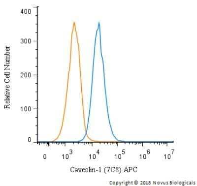 Flow Cytometry: Caveolin-1 Antibody (7C8) - Azide and BSA Free [NBP2-80617] - An intracellular stain was performed on HeLa cells with Caveolin-1 Antibody (7C8) NB100-615APC (blue) and a matched isotype control (orange). Cells were fixed with 4% PFA and then permeabilized with 0.1% saponin. Cells were incubated in an antibody dilution of 1 ug/mL for 30 minutes at room temperature. Both antibodies were directly conjugated to allophycocyanin.