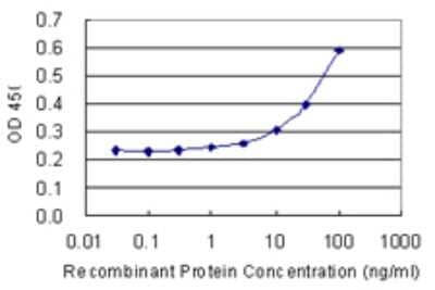 Sandwich ELISA: Cbx2 Antibody (1E9) [H00084733-M09] - Detection limit for recombinant GST tagged CBX2 is 3 ng/ml as a capture antibody.
