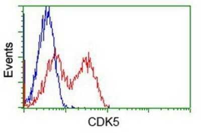 Flow Cytometry: Cdk5 Antibody (OTI2H6) - Azide and BSA Free [NBP2-70396] - HEK293T cells transfected with either overexpression plasmid (Red) or empty vector control plasmid (Blue) were immunostaining by anti-Cdk5 antibody, and then analyzed by flow cytometry.