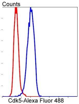 Flow Cytometry: Cdk5 Antibody (SR39-01) [NBP2-67319] - Analysis of Hela cells with Cdk5 antibody at 1/50 dilution (blue) compared with an unlabelled control (cells without incubation with primary antibody; red). Alexa Fluor 488-conjugated goat anti rabbit IgG was used as the secondary antibody.