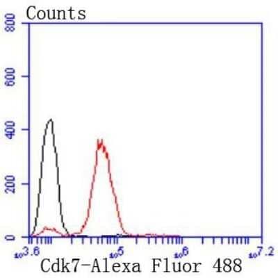 Flow Cytometry: Cdk7 Antibody (JJ203-01) [NBP2-67850] - Analysis of A431 cells with Cdk7 antibody at 1/50 dilution (red) compared with an unlabelled control (cells without incubation with primary antibody; black). Alexa Fluor 488-conjugated goat anti rabbit IgG was used as the secondary antibody.