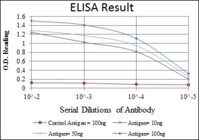 ELISA: Cdk9 Antibody (1B5D10) [NBP2-37600] - Red: Control Antigen (100ng); Purple: Antigen (10ng); Green: Antigen (50ng); Blue: Antigen (100ng);