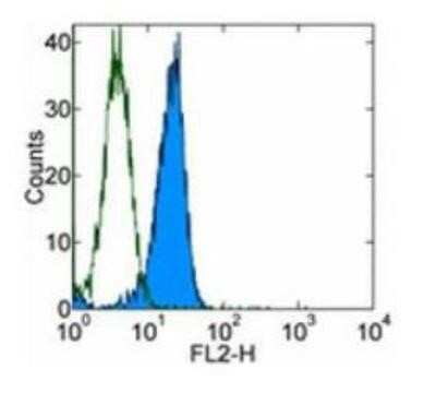 Flow Cytometry: ChemR23/CMKLR1 Antibody (BZ194) - Azide and BSA Free [NBP2-80667] - Staining of resident mouse peritoneal macrophages. Image from the standard format of this antibody.