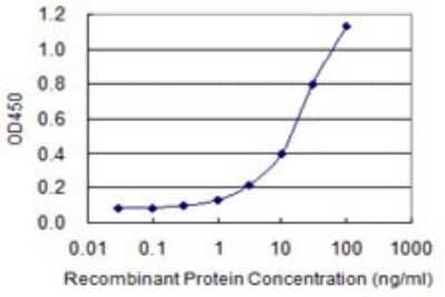 Sandwich ELISA: Chitobiase/CTBS Antibody (1B5-1B9) [H00001486-M01] - Detection limit for recombinant GST tagged CTBS is 0.3 ng/ml as a capture antibody.