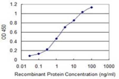 Sandwich ELISA: Chitotriosidase/CHIT1 Antibody (1D11) [H00001118-M01] - Detection limit for recombinant GST tagged CHIT1 is 0.03 ng/ml as a capture antibody.