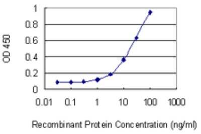 Sandwich ELISA: Chondrolectin Antibody (1A5) [H00140578-M03] - Detection limit for recombinant GST tagged CHODL is 0.3 ng/ml as a capture antibody.