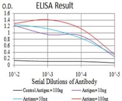 ELISA: Chorionic Gonadotropin beta Chain (HCG beta) Antibody (4B8B3) [NBP2-61789] - Black line: Control Antigen (100 ng);Purple line: Antigen (10ng); Blue line: Antigen (50 ng); Red line:Antigen (100 ng)