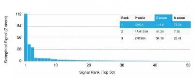 Protein Array: Chromogranin A Antibody (CHGA/798) - Azide and BSA Free [NBP2-47849] - Analysis of Protein Array containing more than 19,000 full-length human proteins using Chromogranin A antibody (CHGA/798)