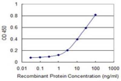 Sandwich ELISA: Clathrin Heavy Chain 1/CHC17 Antibody (2E5) [H00001213-M05] - Detection limit for recombinant GST tagged CLTC is 0.3 ng/ml as a capture antibody.