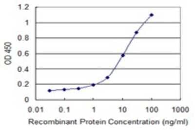 Sandwich ELISA: Colec12 Antibody (4A7) [H00081035-M01] - Detection limit for recombinant GST tagged COLEC12 is 0.3 ng/ml as a capture antibody.