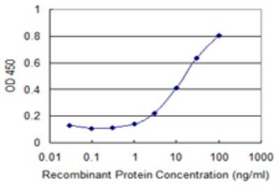 Sandwich ELISA: Collagen XXV alpha 1 Antibody (1D2) [H00084570-M01] - Detection limit for recombinant GST tagged COL25A1 is 0.3 ng/ml as a capture antibody.