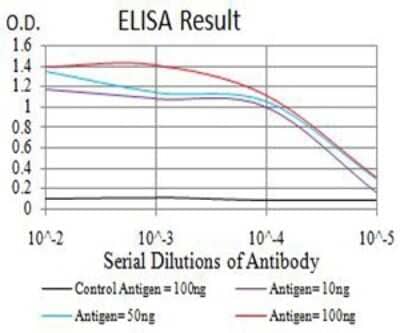 ELISA: Complement Component C1qC Antibody (4H9D7) [NBP2-61867] - Black line: Control Antigen (100 ng);Purple line: Antigen (10ng); Blue line: Antigen (50 ng); Red line:Antigen (100 ng)