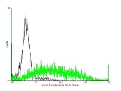 Flow Cytometry: Complement Component C3a R Antibody [H00000719-B01P] - Analysis of negative control 293 cells (Black) and C3AR1 expressing 293 cells (Green) using C3AR1 purified mouse polyclonal antibody.