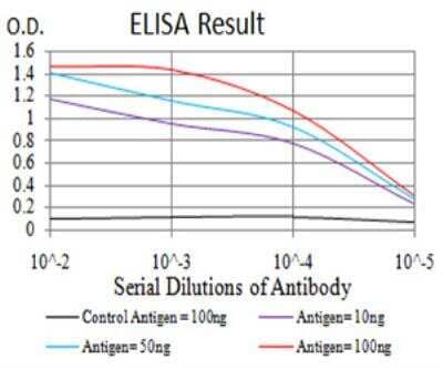 ELISA: Complement Factor H-related 5/CFHR5 Antibody (3A10A5) [NBP2-52441] - Black line: Control Antigen (100 ng);Purple line: Antigen (10ng); Blue line: Antigen (50 ng); Red line:Antigen (100 ng).