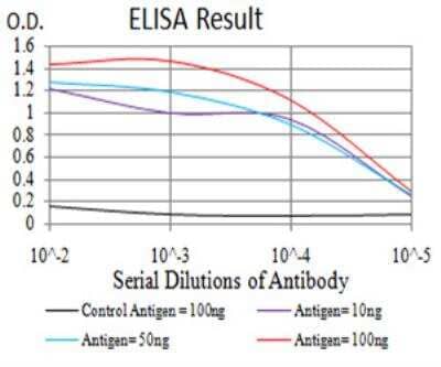 ELISA: Complement Factor H-related 5/CFHR5 Antibody (3E1E10) [NBP2-52440] - Black line: Control Antigen (100 ng);Purple line: Antigen (10ng); Blue line: Antigen (50 ng); Red line:Antigen (100 ng).