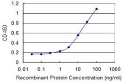 Sandwich ELISA: Cortactin Antibody (2B5) [H00002017-M01] - Detection limit for recombinant GST tagged CTTN is 0.3 ng/ml as a capture antibody.