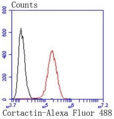 Flow Cytometry: Cortactin Antibody (SC61-08) [NBP2-67632] - Analysis of Hela cells with Cortactin antibody at 1/50 dilution (red) compared with an unlabelled control (cells without incubation with primary antibody; black). Alexa Fluor 488-conjugated goat anti rabbit IgG was used as the secondary antibody.