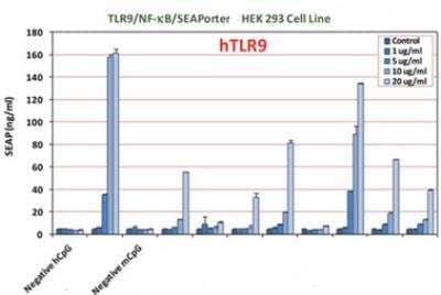 CpG oligodeoxynucleotides [NBP2-26237] - Evaluation of various CpG ODN effects on activation of human TLR9. TLR9/NF-kB/SEAPorter HEK 293 cells were plated in 96-well plates at 7.5 x 104 cells/well for 16 h. Cells were treated with various CpG ODNs at different concentrations (1, 5, 10 and 20 ug/ml) for 24 h. Secreted alkaline phosphatase (SEAP) was analyzed using SEAPorter Assay Kit. Note: Both negative hCpG and mCpG are the negative control ODNs.