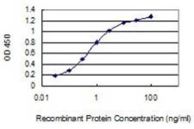 ELISA: Creatine Kinase, Muscle/CKMM Antibody (1E3) [H00001158-M02] - Creatine Kinase, Muscle/CKMM Antibody (1E3) [H00001158-M02] - Detection limit for recombinant GST tagged CKM is 0.03 ng/ml as a capture antibody.