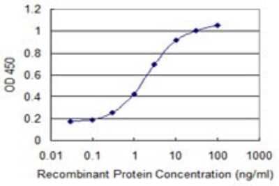Sandwich ELISA: Creatine kinase MT 1B Antibody (2C9) [H00001159-M16] - Detection limit for recombinant GST tagged CKMT1B is 0.1 ng/ml as a capture antibody.