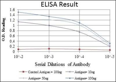 ELISA: Crk Antibody (3G11C1) [NBP2-37569] - Red: Control Antigen (100ng); Purple: Antigen (10ng); Green: Antigen (50ng); Blue: Antigen (100ng);
