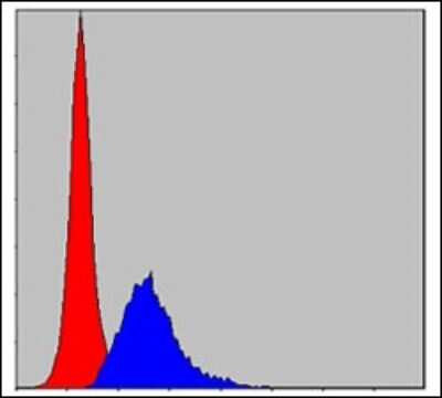 Flow Cytometry: Crk Antibody (3G11C1) [NBP2-37569] - Flow cytometric analysis of MCF-7 cells using CRK mouse mAb (blue) and negative control (red).