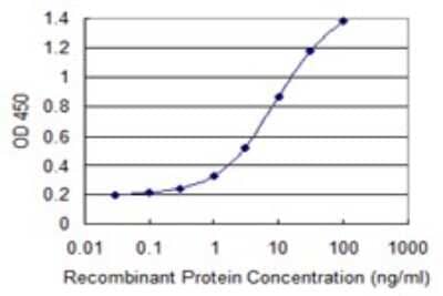 Sandwich ELISA: Cullin 4a Antibody (3H3) [H00008451-M01] - Detection limit for recombinant GST tagged CUL4A is 0.1 ng/ml as a capture antibody.