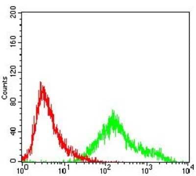 Flow Cytometry: Cyclin A2 Antibody (6B4D11) [NBP2-52436] - 4: Flow cytometric analysis of A431 cells using CCNA2 mouse mAb (green) and negative control (red).