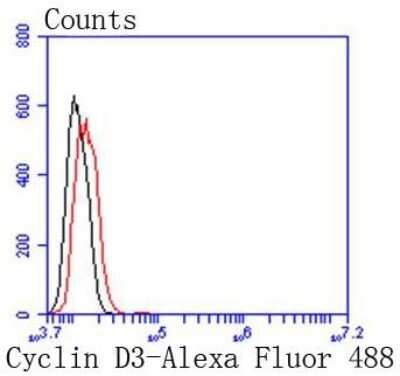 Flow Cytometry: Cyclin D3 Antibody (SD20-43) [NBP2-67769] - Analysis of Hela cells with Cyclin D3 antibody at 1/50 dilution (red) compared with an unlabelled control (cells without incubation with primary antibody; black). Alexa Fluor 488-conjugated goat anti rabbit IgG was used as the secondary antibody.
