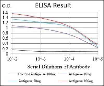 ELISA: Cyclin E1 Antibody (5F8C5) [NBP2-37247] - Red: Control Antigen (100ng); Purple: Antigen (10ng); Green: Antigen (50ng); Blue: Antigen (100ng);