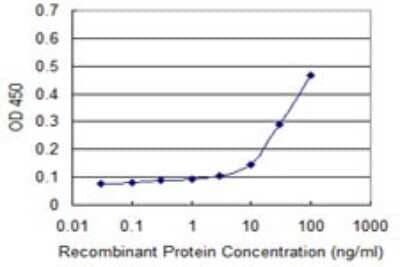 Sandwich ELISA: Cyclin G Antibody (1E3) [H00000900-M01] - Detection limit for recombinant GST tagged CCNG1 is approximately 10ng/ml as a capture antibody.