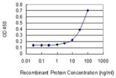 Sandwich ELISA: Cyclophilin C Antibody (1A10) [H00005480-M03] - Detection limit for recombinant GST tagged PPIC is 1 ng/ml as a capture antibody.