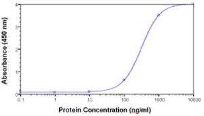 ELISA: Cyclophilin-F Antibody [NB100-75452] -  Direct Elisa Test. Protein as test antigen. Affi-pure IgY as primary antibody and Goat anti-IgY HRP as 2nd antibody. Fixed amount of antibody (1 ug/ml) and serial dilutions of antigen. ( anti-PPIF )
