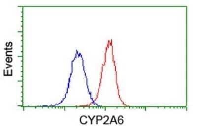 Flow Cytometry: Cytochrome P450 2A6 Antibody (OTI1D2) - Azide and BSA Free [NBP2-70524] - Analysis of Jurkat cells, using anti-CYP2A6 antibody , (Red), compared to a nonspecific negative control antibody, (Blue).