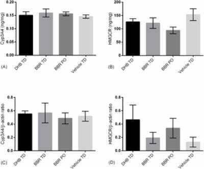 Western Blot: Cytochrome P450 3A4 Antibody [NB600-1396] - CYP3A4 (A) and HMG-CoA (B) levels from liver samples from chronically administered animals (14 days) were quantified by ELISA and western blots. Beta-actin served as a reference signal for CYP3A4 (C) and HMG-CoA Reductase (D). Error bars signify standard error of the mean.Citation: Buchanan B, Meng Q, Poulin M-M, Zuccolo J, Azike CG, Gabriele J, et al. (2018) Comparative pharmacokinetics and safety assessment of transdermal berberine and dihydroberberine. PLoS ONE 13(3): e0194979. //doi.org/10.1371/journal.pone.0194979